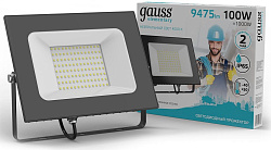 Прожектор уличный Gauss Elementary светодиодный 100Втчерный (613100110)