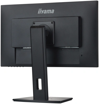 Монитор Iiyama 23.8" ProLite XUB2492HSN-B5 черный IPS LED 16:9 HDMI M/M матовая HAS Piv 250cd 178гр/178гр 1920x1080 75Hz DP FHD USB 5.6кг