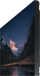 Панель Samsung 55" VM55C-R черный IPS 8ms 16:9 DVI HDMI матовая 500cd 178гр/178гр 1920x1080 VGA DP FHD USB 19.5кг