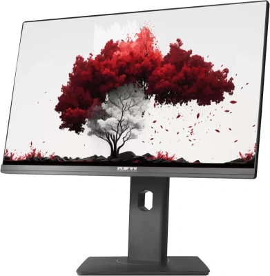 Монитор RDW Computers 23.8" RDW2402K/F00B3 черный IPS 16:9 HDMI M/M Cam матовая HAS Piv 250cd 178гр/178гр 1920x1080 75Hz VGA DP FHD (RUS)
