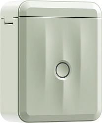 Термопринтер Niimbot D110 M (1746804) 203dpi 40мм/с/USB/BT для печ.этик. зеленый