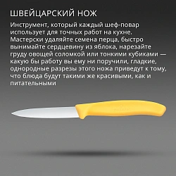 Нож кухонный Victorinox Swiss Classic (6.7608.C1) для чистки овощей и фруктов лезв.80мм прямая заточка желтый