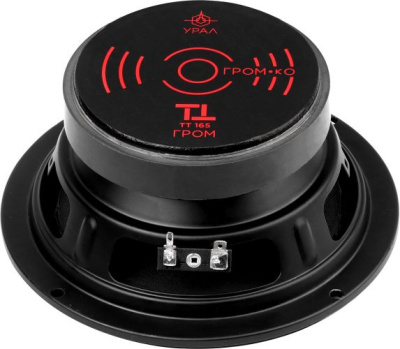 Колонки автомобильные Ural ТТ 165 ГРОМ (без решетки) 300Вт 97дБ 4Ом 16.5см (6 1/2дюйм) (ком.:2кол.) широкополосные однополосные