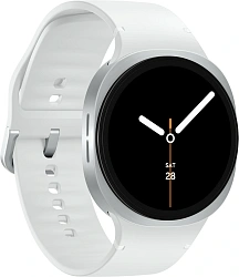 Смарт-часы Samsung Galaxy Watch 8 1.47" Super AMOLED корп.серебристый рем.серебристый (SM-L330NZSALTA)