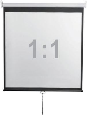 Экран 200x200см Digis Optimal-D DSOD-1105 1:1 настенно-потолочный рулонный