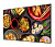 Экран на раме Cactus 114x201см Alr Expert CS-PSALR-201X114 16:9 настенный натяжной