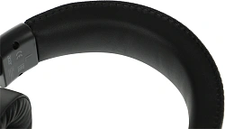 Наушники с микрофоном Acer AHW120 черный 2.1м мониторные USB оголовье (ZL.HDSCC.01C)