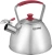 Чайник металлический Rondell Savvy RDS-1826 2.5л. стальной