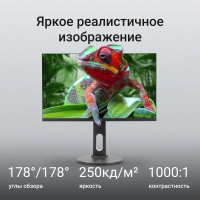 Монитор Digma 23.8" Progress 24P505F черный IPS LED 16:9 HDMI M/M матовая HAS Piv 250cd 178гр/178гр 1920x1080 100Hz G-Sync FreeSync VGA DP FHD 4.8кг