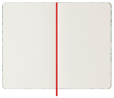 Блокнот Moleskine LIMITED EDITION VAN GOGH MUSEUM SKARTQP063VANGOGH Large 130х210мм 104стр. нелинованный твердая обложка светло-зеленый