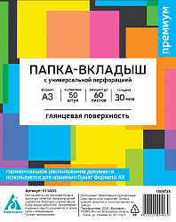 Папка-вкладыш Бюрократ Премиум 013AG3 глянцевые A3 горизонтальный 30мкм (упак.:50шт)