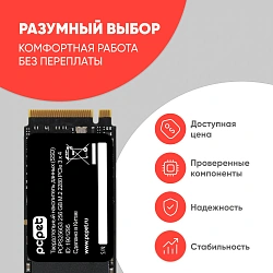 Накопитель SSD PC Pet PCIe 3.0 x4 256GB PCPS256G3 M.2 2280 OEM