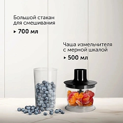 Блендер погружной Red Solution RHB-2987 1200Вт черный/стальной