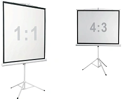 Экран Digis 112" 200x200см Kontur-D DSKD-1106 1:1 напольный рулонный