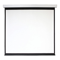 Экран Digis 118" 213x213см Electra-F DSEF-1107 1:1 настенно-потолочный рулонный (моторизованный привод)