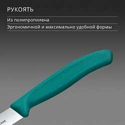 Нож кухонный Victorinox Swiss Classic (6.7704.C1) для овощей лезв.100мм прямая заточка зеленый