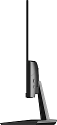Монитор NPC 24.5" MF2558 черный VA LED 3ms 16:9 HDMI 400:1 250cd 178гр/178гр 1920x1080 100Hz VGA FHD 3.12кг