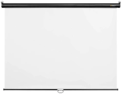 Экран Digis 100" 180x180см Optimal-C DSOC-1102 1:1 настенно-потолочный рулонный черный