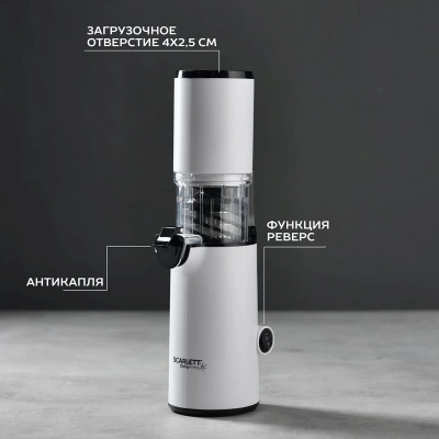 Соковыжималка шнековая Scarlett DailyPress SC-JE50S59 130Вт рез.сок.:600мл. белый