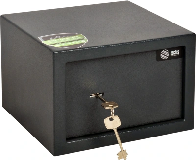 Сейф мебельный Cactus CS-SF-K18 взломостойкий 170x260x230мм ключевой