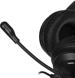 Наушники с микрофоном A4Tech HS-10 черный/белый 2м накладные оголовье (HS-10/3.5MM PLUG/BLACK)