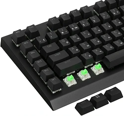 Клавиатура Razer BlackWidow V4 Green Switch механическая черный USB Multimedia for gamer LED (RZ03-04700800-R3R1) кабель 2м