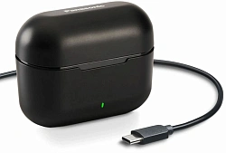 Гарнитура внутриканальные Panasonic RZ-B110WDG-K черный беспроводные bluetooth в ушной раковине