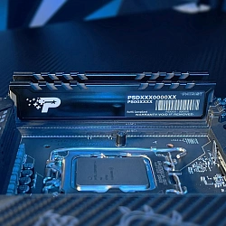 Память DDR5 24GB 5600MHz Patriot PSP524G560081H1 Signature Premium RTL PC5-44800 CL46 DIMM 288-pin 1.1В single rank с радиатором Ret