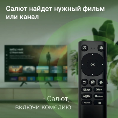Телевизор LED Digma 32" DM-LED32SBB36 Салют ТВ Frameless Metal черный FULL HD 60Hz DVB-T DVB-T2 DVB-C DVB-S DVB-S2 USB WiFi Smart TV