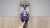Пылесос Dyson SV28 V11 Vaccum голубой/никель
