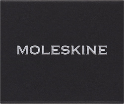 Шильд-символ Moleskine Zodiac Козерог металл золотистый коробка с европод. PINCAPRICORNGOLD