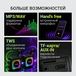 Колонка порт. Digma D-PS1501 черный 10W 1.0 BT 10м 1500mAh (DPS1501)