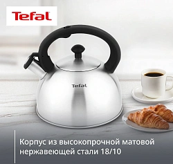 Чайник металлический Tefal Wawe N4210117 2.5л. серебристый (3110602015)
