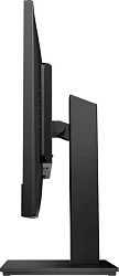 Монитор HP 23.8" M24m черный IPS 16:9 HDMI M/M Cam матовая HAS Piv 300cd 178гр/178гр 1920x1080 75Hz DP FHD USB 6.3кг