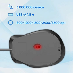 Мышь Оклик 504M черный/серый оптическая 3600dpi silent USB 6but (2004741)