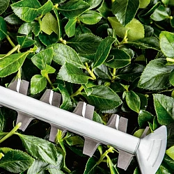 Кусторез Bosch UniversalHedgeCut 50 (06008C0501)