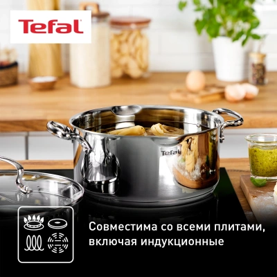 Кастрюля Tefal Duetto+ G7194655 4.7л. d=24см (с крышкой) стальной (2100113152)