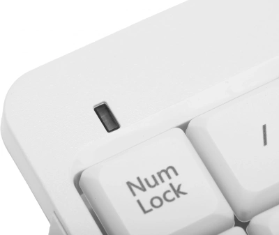 Числовой блок A4Tech Fstyler FK13 белый USB slim для ноутбука (FK13 USB ( WHITE ))