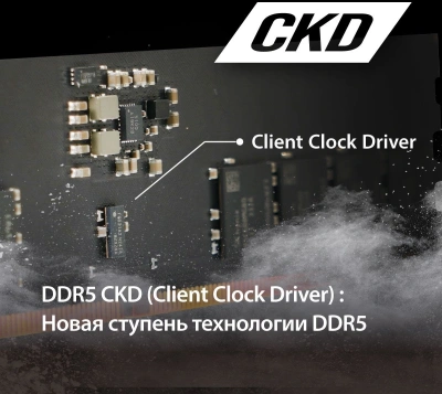 Память DDR5 16GB 6400MHz Patriot PSD516G64081C Signature RTL PC5-51200 CL52 DIMM 288-pin 1.1В single rank Ret