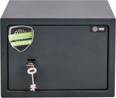 Сейф мебельный Cactus CS-SF-K25 взломостойкий 250x350x250мм ключевой
