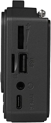 Радиоприемник портативный Ritmix RPR-010 серый USB microSD