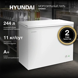 Морозильный ларь Hyundai CH25031 белый 120Вт
