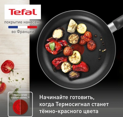 Сковорода Tefal Easy Plus 04237924 круглая 24см ручка несъемная (с крышкой) черный (9100054100)