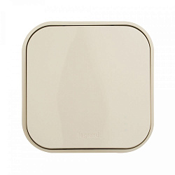 Выключатель Legrand Quteo откр. 1кл. IP20 слоновая кость (782230)