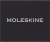 Шильд-символ Moleskine Zodiac Козерог металл золотистый коробка с европод. PINCAPRICORNGOLD