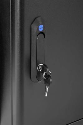 Шкаф коммутационный ЦМО (ШРН-М-12.500.1-9005) настенный 12U 600x456мм пер.дв.металл 130кг черный 456мм 20.9кг 180град. 610мм