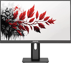 Монитор RDW Computers 27" RDW2701K черный IPS 5ms HDMI M/M HAS Piv 300cd 178гр/178гр 1920x1080 120Hz VGA DP FHD (RUS)