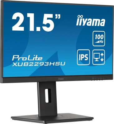 Монитор Iiyama 21.5" ProLite XUB2293HSU-B7 черный IPS LED 16:9 HDMI M/M матовая HAS Piv 300cd 178гр/178гр 1920x1080 100Hz DP FHD USB 3.9кг