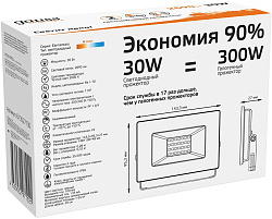 Прожектор уличный Gauss Elementary 613527130 светодиодный 30Втчерный