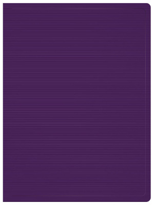 Папка с 20 прозр.вклад. Бюрократ DeLuxe DLV20BBERRY A4 пластик 0.7мм черничный